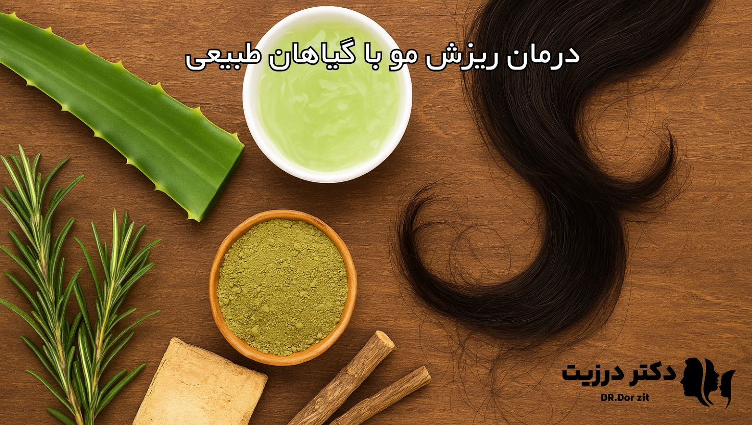 درمان ریزش مو با گیاهان طبیعی؛ بازگشت به ریشههای سلامت